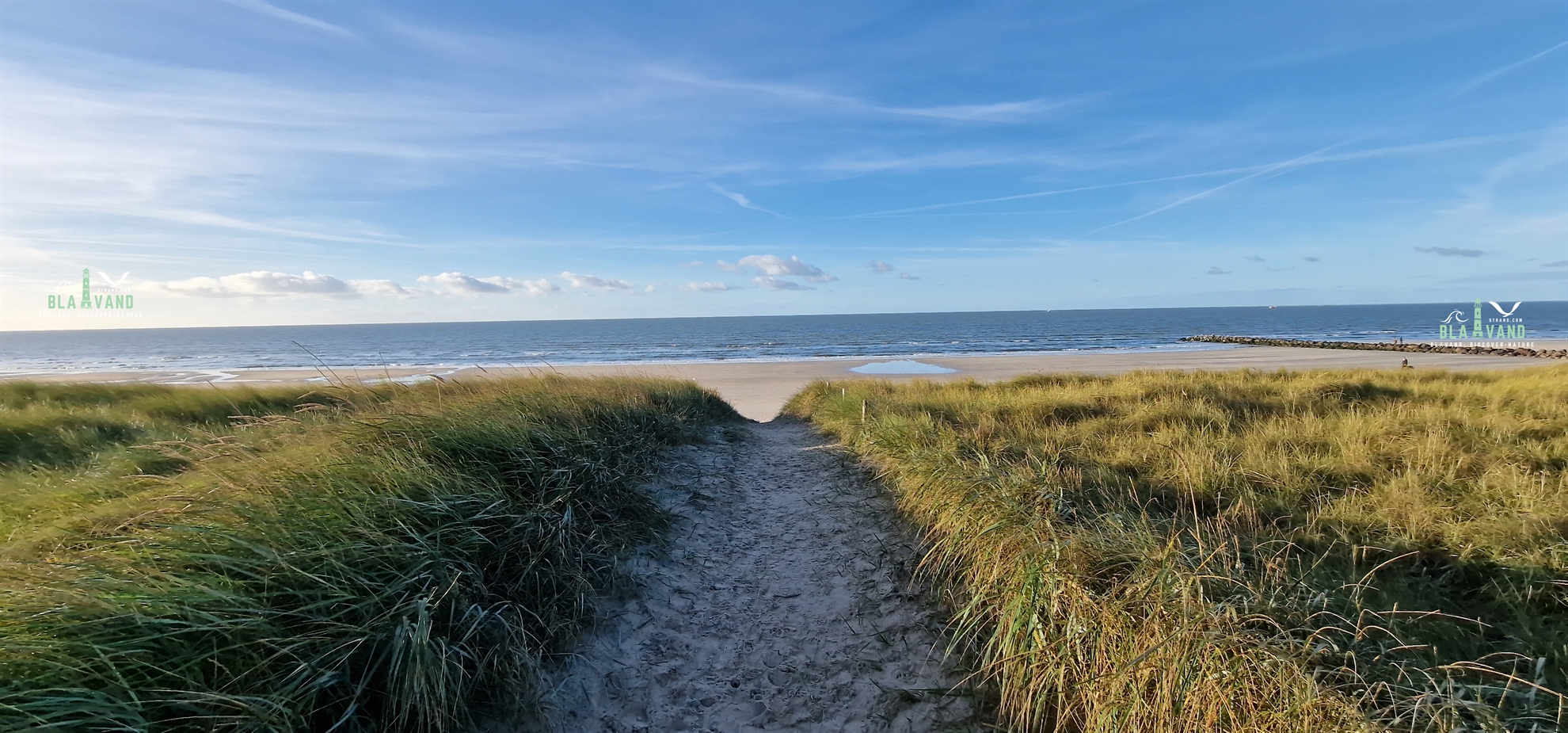 blavand strand dänemark